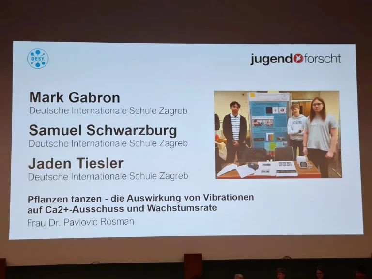 Instagram post from deutscheschulezagreb. This post is in position 4.