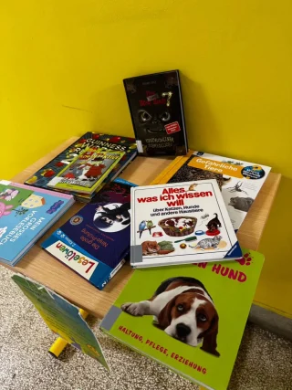 Instagram post from deutscheschulezagreb. This post is in position 9.